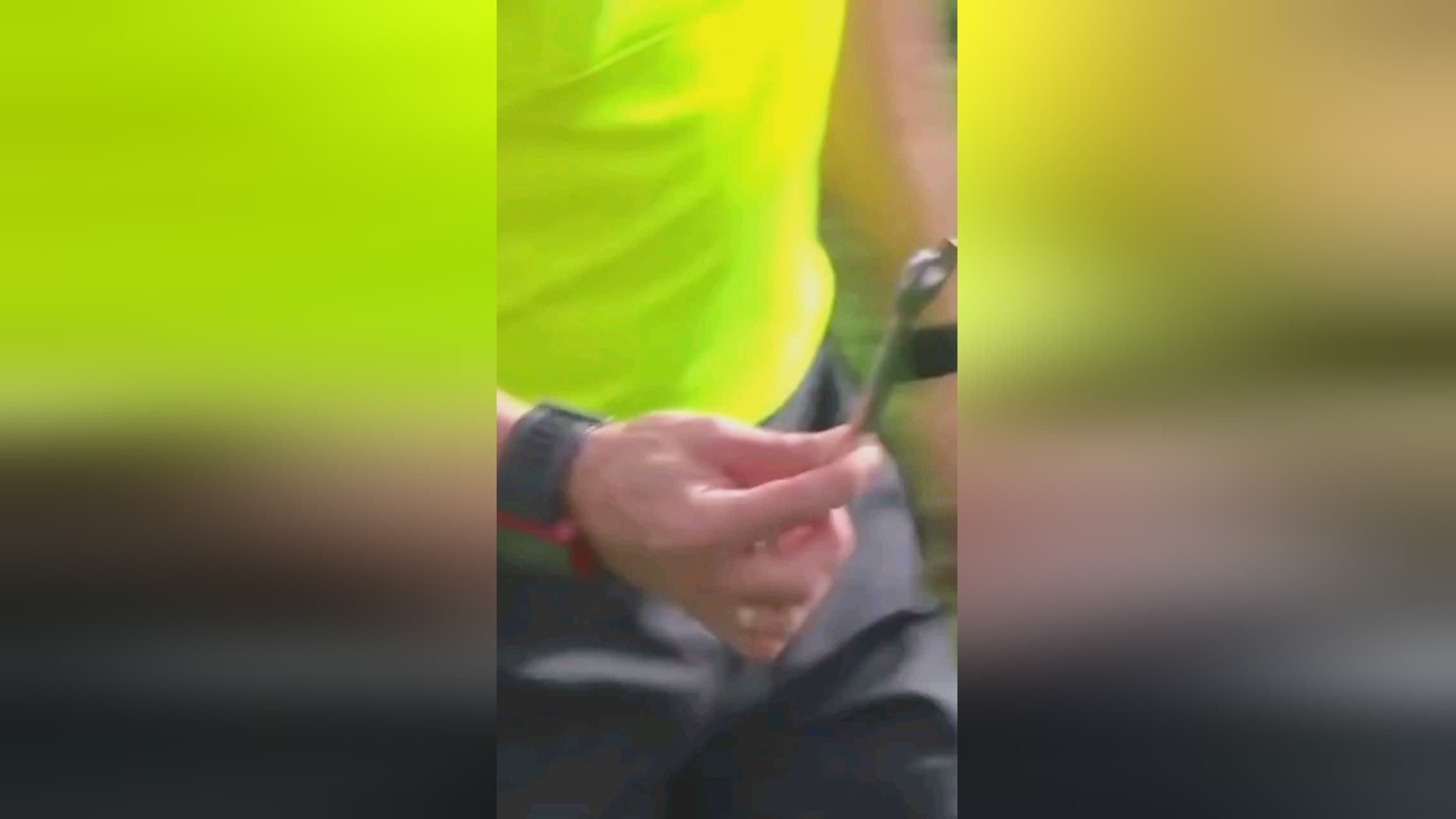 时步行者的
